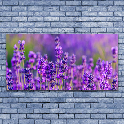 Leinwand-Bilder Blumen Pflanzen