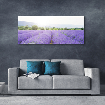 Leinwand-Bilder Wiese Blumen Natur