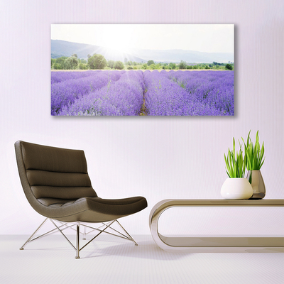 Leinwand-Bilder Wiese Blumen Natur