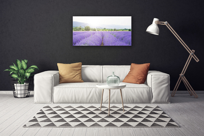 Leinwand-Bilder Wiese Blumen Natur