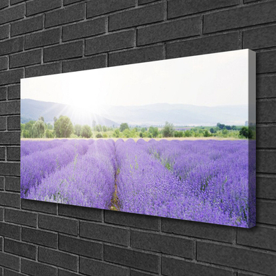 Leinwand-Bilder Wiese Blumen Natur