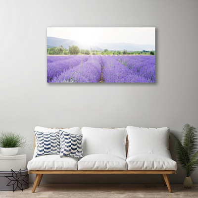 Leinwand-Bilder Wiese Blumen Natur