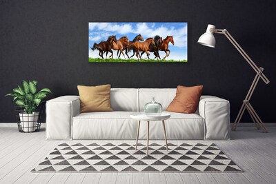 Leinwand-Bilder Pferde Tiere