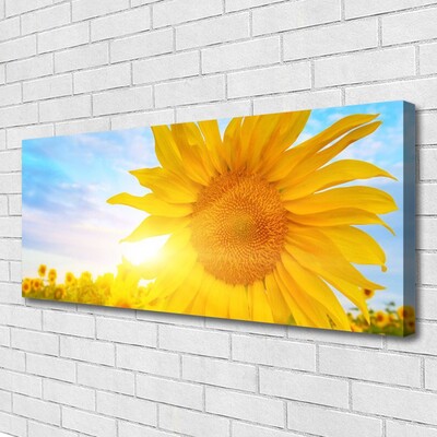 Leinwand-Bilder Sonnenblume Pflanzen