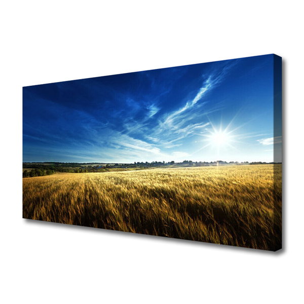 Leinwand-Bilder Acker Himmel Natur