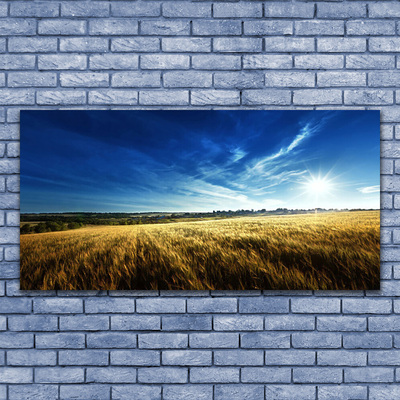 Leinwand-Bilder Acker Himmel Natur