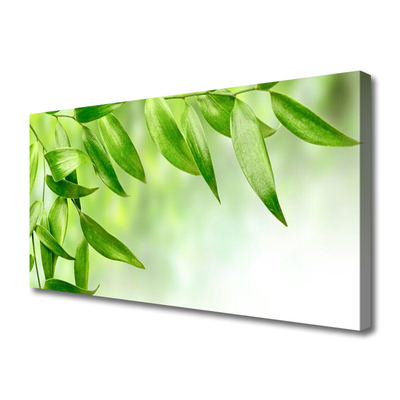 Leinwand-Bilder Blätter Pflanzen