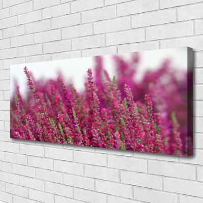 Leinwand-Bilder Blumen Pflanzen