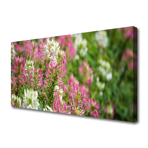 Leinwand-Bilder Blumen Pflanzen