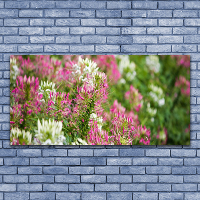 Leinwand-Bilder Blumen Pflanzen