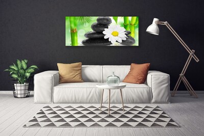 Leinwand-Bilder Bambusrohre Blume Steine Kunst