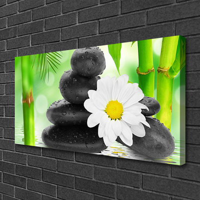 Leinwand-Bilder Bambusrohre Blume Steine Kunst