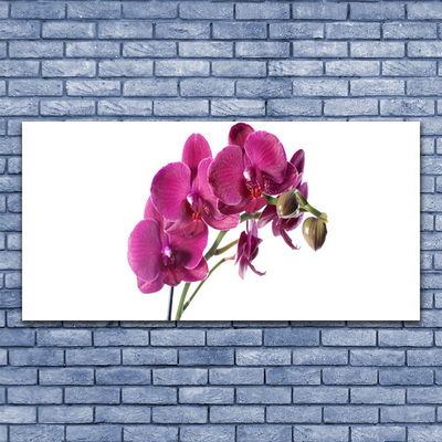 Leinwand-Bilder Blumen Pflanzen