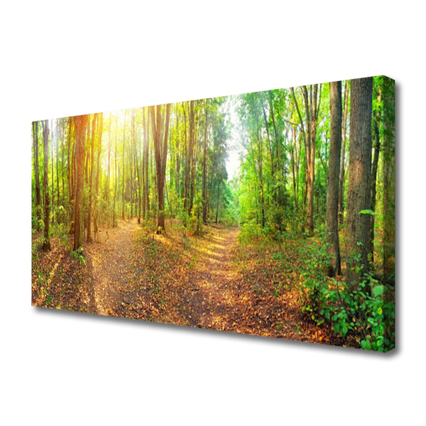 Leinwand-Bilder Wald Natur