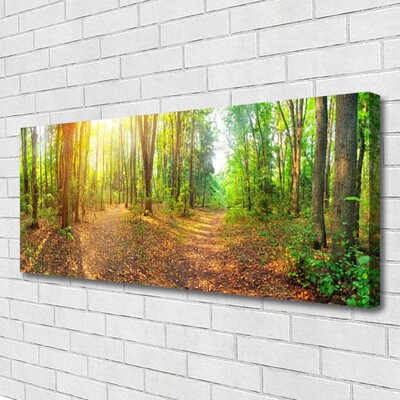 Leinwand-Bilder Wald Natur