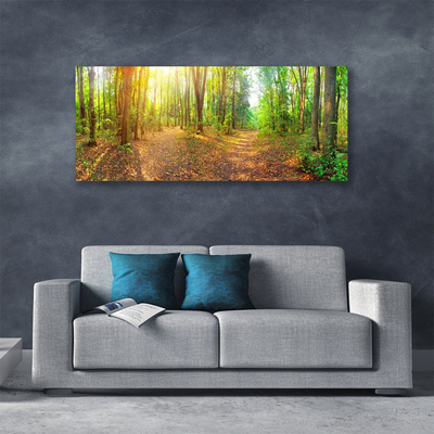 Leinwand-Bilder Wald Natur