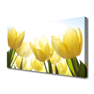 Leinwand-Bilder Tulpen Pflanzen