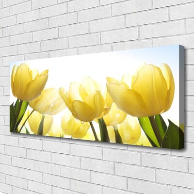 Leinwand-Bilder Tulpen Pflanzen
