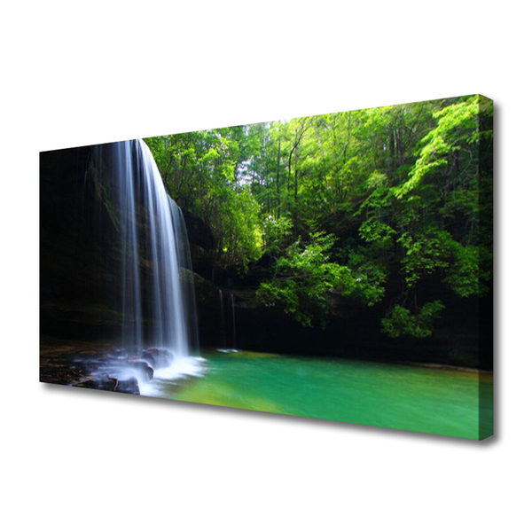 Leinwand-Bilder Wasserfall Wald Natur