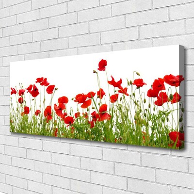 Leinwand-Bilder Wiese Mohnblumen Natur