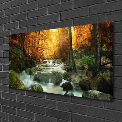 Leinwand-Bilder Wasserfall Wald Steine Natur