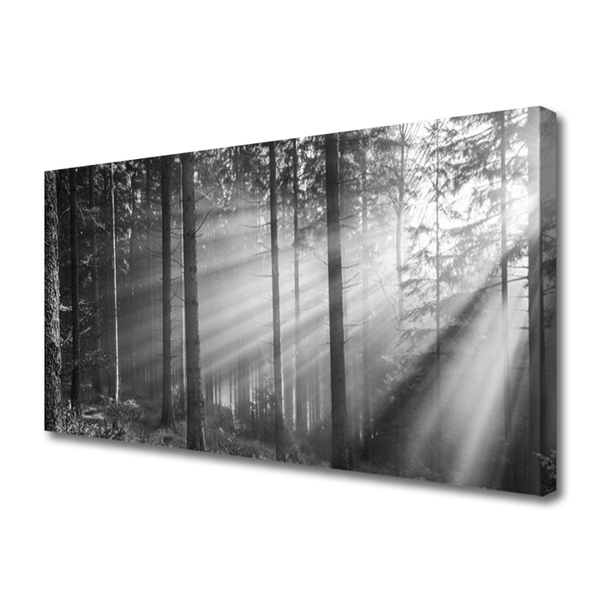 Leinwand-Bilder Wald Natur