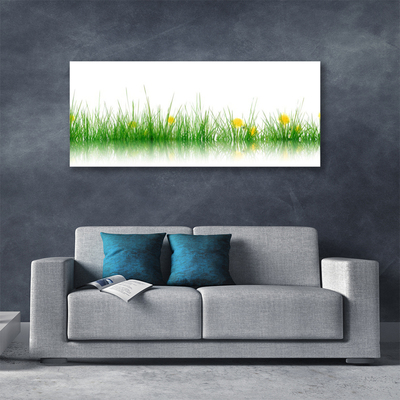 Leinwand-Bilder Gras Natur