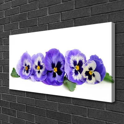 Glas-Bild Wandbilder Druck auf Glas 125x50 Blumen & Pflanzen Stiefmütterchen