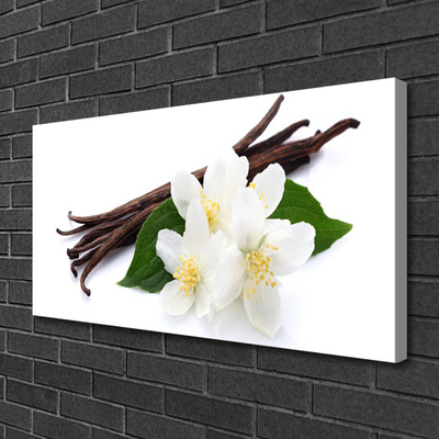 Leinwand-Bilder Vanille Pflanzen