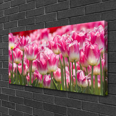 Leinwand-Bilder Tulpen Pflanzen