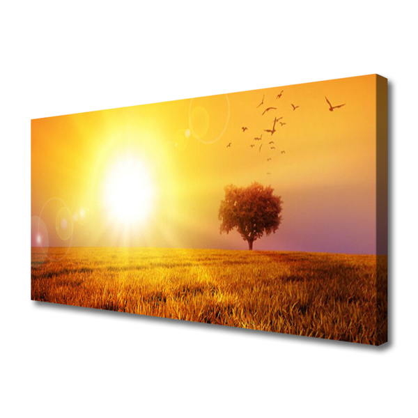 Leinwand-Bilder Sonne Wiese Landschaft