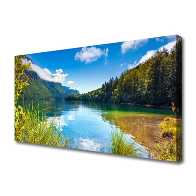 Leinwand-Bilder Gebirge Wald See Natur