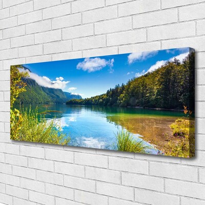 Leinwand-Bilder Gebirge Wald See Natur