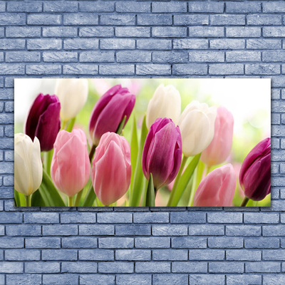 Leinwand-Bilder Tulpen Pflanzen