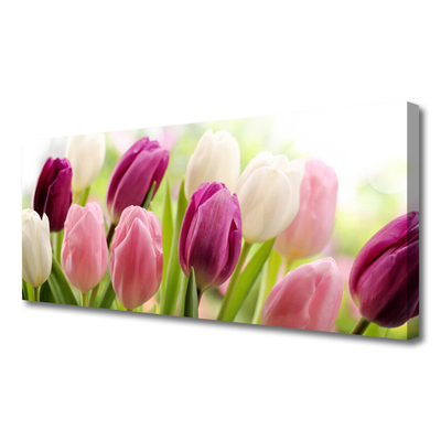 Leinwand-Bilder Tulpen Pflanzen