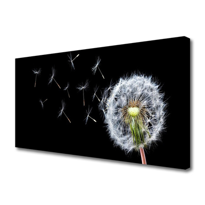 Leinwand-Bilder Pusteblume Pflanzen