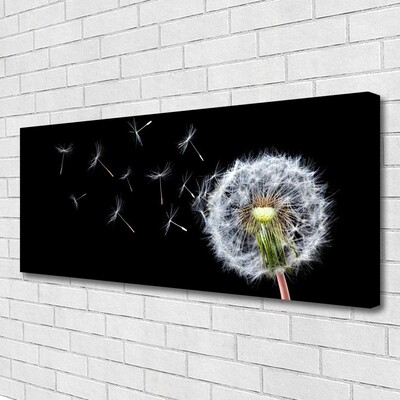 Leinwand-Bilder Pusteblume Pflanzen