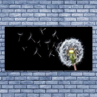 Leinwand-Bilder Pusteblume Pflanzen