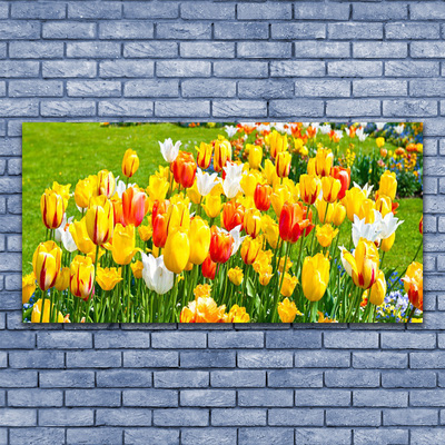 Leinwand-Bilder Tulpen Pflanzen