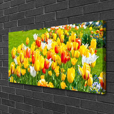 Leinwand-Bilder Tulpen Pflanzen