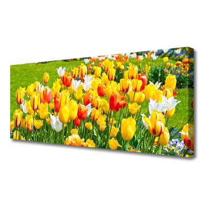 Leinwand-Bilder Tulpen Pflanzen