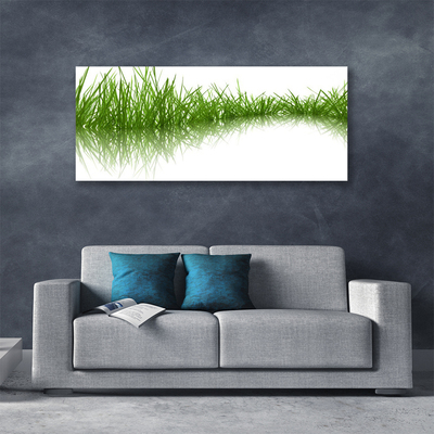 Leinwand-Bilder Gras Natur