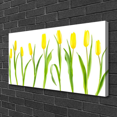 Leinwand-Bilder Tulpen Pflanzen