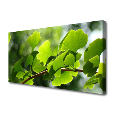 Leinwand-Bilder Zweig Blätter Pflanzen