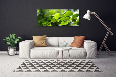 Leinwand-Bilder Zweig Blätter Pflanzen