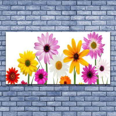 Leinwand-Bilder Blumen Pflanzen