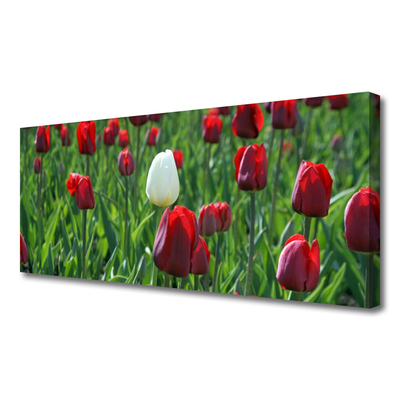 Leinwand-Bilder Tulpen Pflanzen