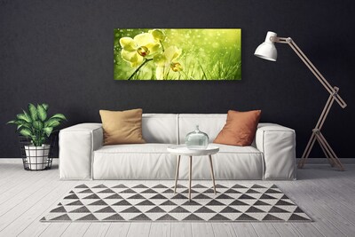 Leinwand-Bilder Gras Blumen Pflanzen