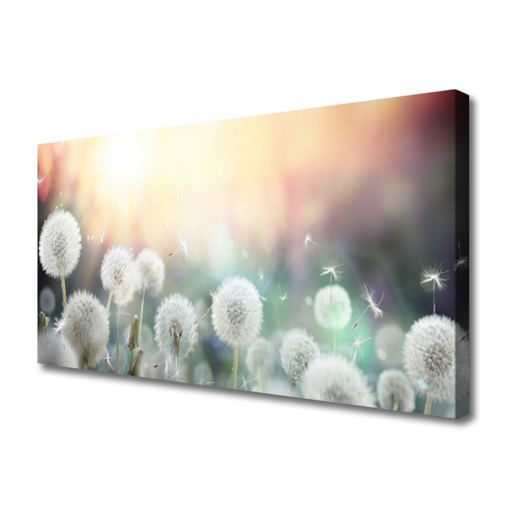Tulup Leinwand-Bilder Wandbild Canvas Kunstdruck 120x60 Pusteblume Pflanzen 
