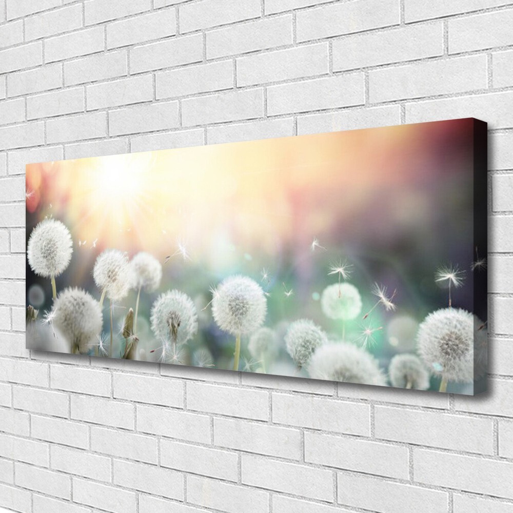 Tulup Glasbilder Wandbild Dekobild 125x50 Pusteblume Pflanzen 